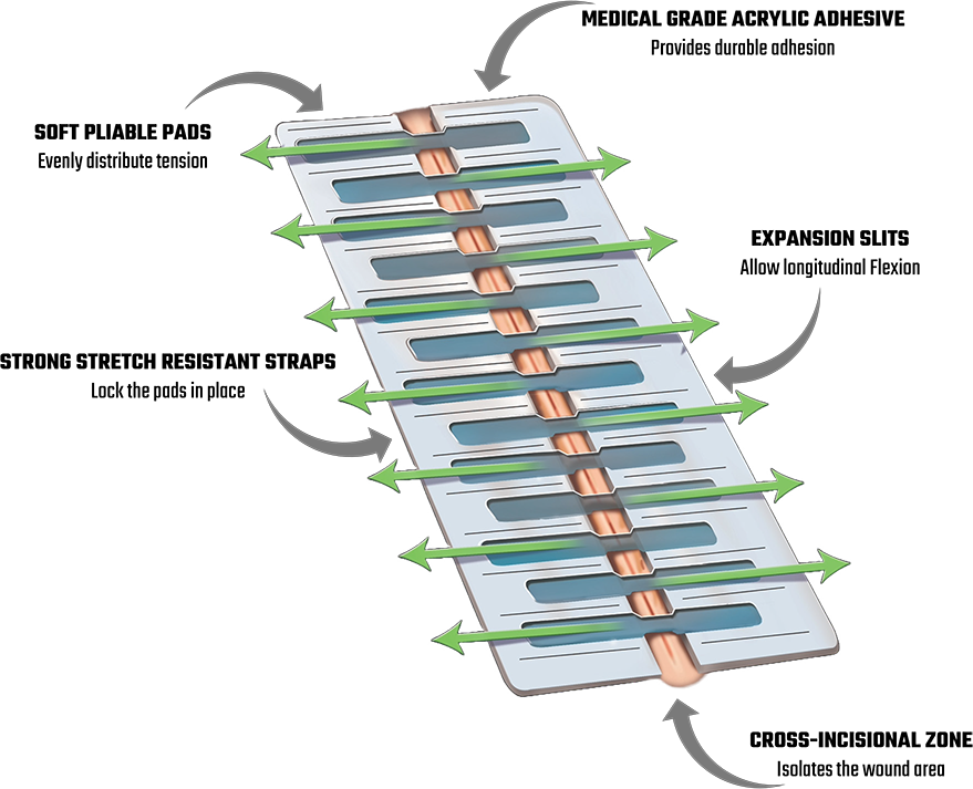 Section Image